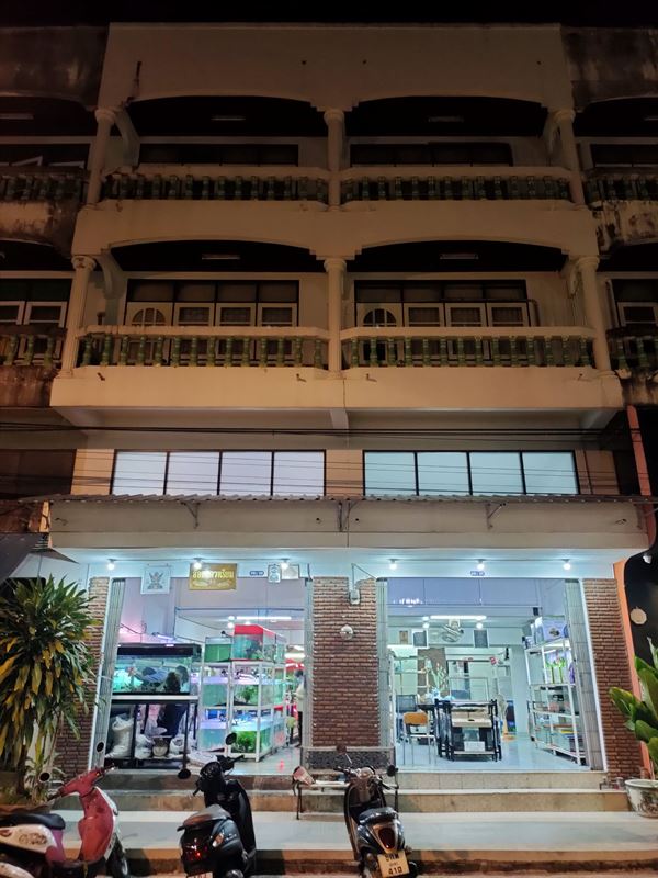 ขายถูก อาคารพาณิชย์ ถนนประชาอุทิศ ซอยสุขเสมอ กลางเมืองชุมพร ติดถนนหลักย่านการค้า